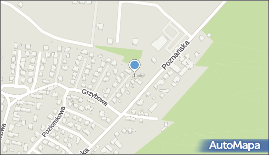9730687037, Global-Gum SC Robert Madej 