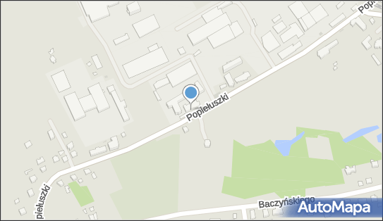 Globalservice Flis Witold, ul. ks. Jerzego Popiełuszki 88A, Krosno 38-400 - Przedsiębiorstwo, Firma, NIP: 6842279158