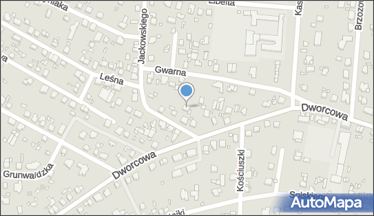 Globe Poland, ul. Gwarna 8, Puszczykowo 62-041 - Przedsiębiorstwo, Firma, NIP: 7830010882