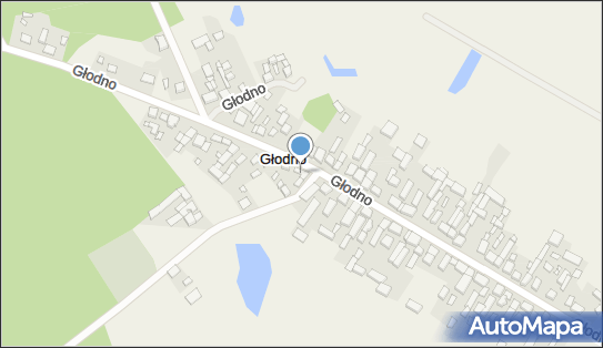 7881008145, Mikołajczyk Emilia, Głodno 