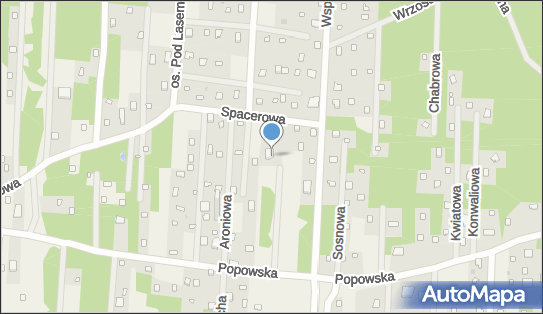 142196295, Gma G.Flasza, A.Niemyjska 