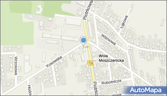 7711661550, Gmina Moszczenica 