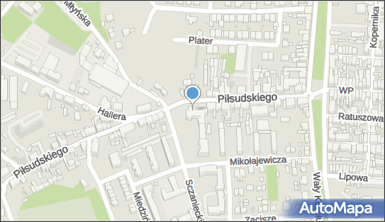 Gmina Rawicz, ul. Marszałka Józefa Piłsudskiego 21, Rawicz 63-900 - Przedsiębiorstwo, Firma, numer telefonu, NIP: 6991871057