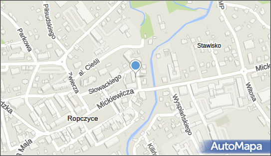 8181581908, Gmina Ropczyce 