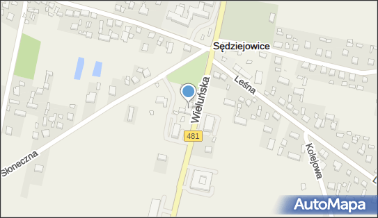 Gmina Sędziejowice, Wieluńska 6, Sędziejowice 98-160 - Przedsiębiorstwo, Firma, numer telefonu, NIP: 8311576640