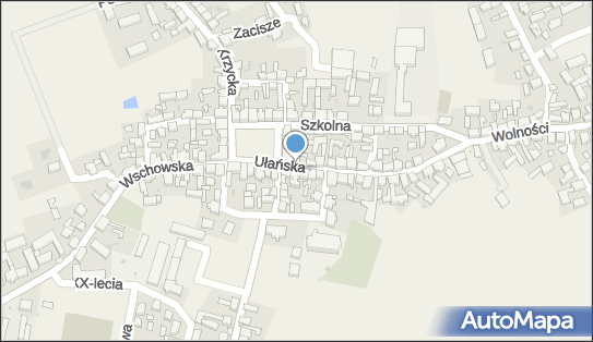 6972235722, Gmina Święciechowa 