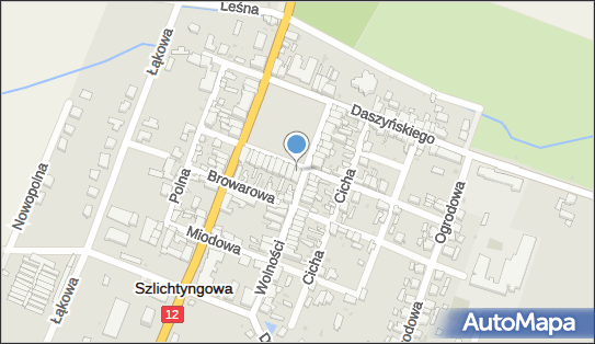 4970015085, Gmina Szlichtyngowa 