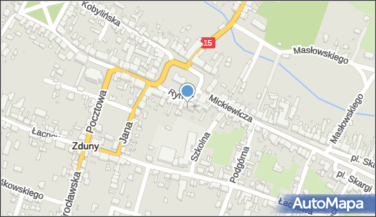 6211694095, Gmina Zduny 