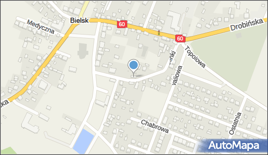 Gminny Ośrodek Kultury w Bielsku, ul. Glinki 1, Bielsk 09-230 - Przedsiębiorstwo, Firma, numer telefonu, NIP: 7742901481