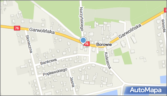 Gminny Ośrodek Kultury w Borowiu, Garwolińska 19, Borowie 08-412 - Przedsiębiorstwo, Firma, numer telefonu, NIP: 8261111323