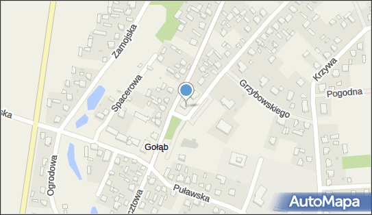 7162288176, Gminny Ośrodek Kultury w Puławach z Siedzibą w Gołębiu 