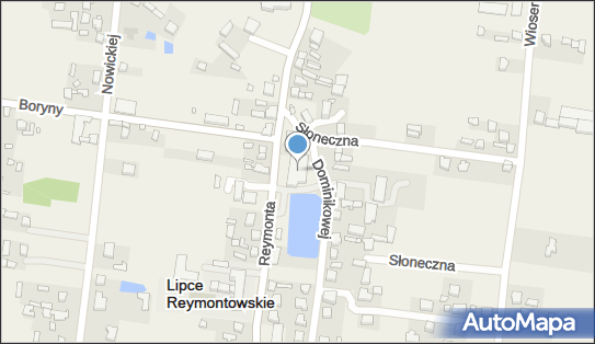 Gminny Ośrodek Pomocy Społecznej w Lipcach Reymontowskich 96-127 - Przedsiębiorstwo, Firma, numer telefonu, NIP: 8361686543