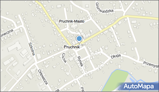 Gminny Ośrodek Pomocy Społecznej w Pruchniku, ul. Rynek 1 37-560 - Przedsiębiorstwo, Firma, numer telefonu, NIP: 7922034821