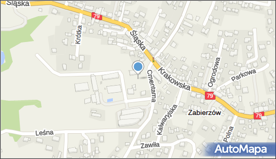 Gminny Ośrodek Pomocy Społecznej w Zabierzowie, ul. Cmentarna 2 32-080 - Przedsiębiorstwo, Firma, numer telefonu, NIP: 9441812996