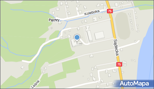 8691676499, Samodzielny Publiczny Gminny Zakład Opieki Zdrowotnej w Czchowie 