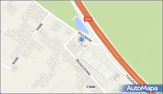 Gockowiak Bis, ul. Przylesie 3, Ciele 86-005 - Przedsiębiorstwo, Firma, numer telefonu, NIP: 5541803316