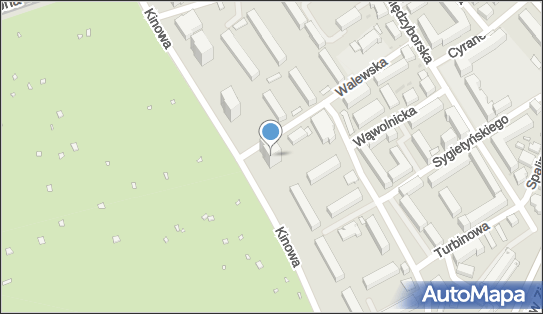 1132173985, GOL-TOM Bis 