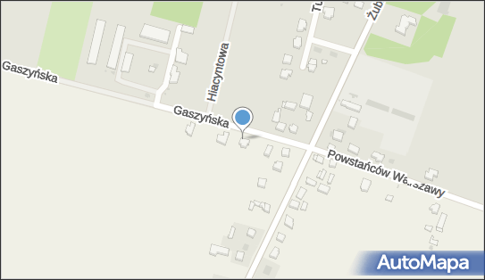 Golański Czesław, Gaszyn 68, Gaszyn 98-300 - Przedsiębiorstwo, Firma, NIP: 8321218830