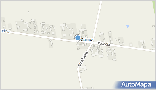 Goławski Jacek Sławomir, Guzew 41, Guzew 05-320 - Przedsiębiorstwo, Firma, NIP: 8220013138