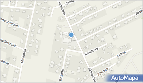 Goldex Jacek Goldstrom, ul. Słoneczna 6, Wołczkowo 72-003 - Przedsiębiorstwo, Firma, NIP: 6740002186