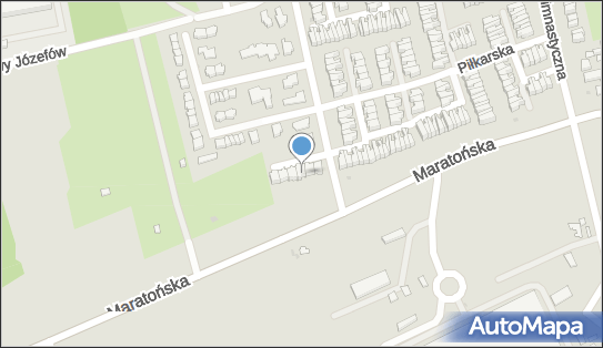 7271930163, Marek Gogolewski 