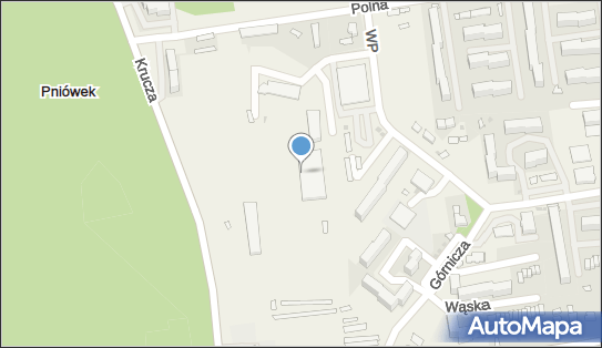 Goodspeed, ul. Krucza 8, Pawłowice 43-250 - Przedsiębiorstwo, Firma, numer telefonu, NIP: 6311879374
