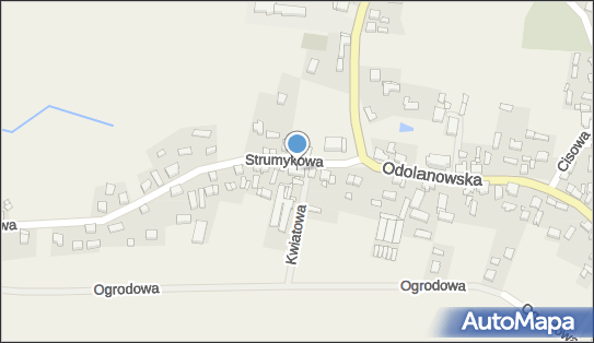 Gospodarstwo Ogrodnicze Krzysztof Kaczorowski, Czarnylas 132 63-421 - Przedsiębiorstwo, Firma, NIP: 6221302470