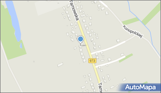 Gospodarstwo Ogrodnicze Piotr Karwala, Tarnowska 84, Żabno 33-240 - Przedsiębiorstwo, Firma, NIP: 8711105163