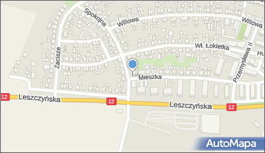 6961334194, Firma Handlowo-Transportowa Artur Ślachetka, Gostyń 