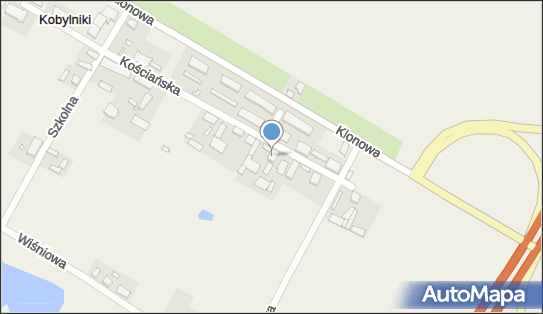Gospodarstwo Rolne Aurela Piotrowicz, Kościańska 5, Kobylniki 64-000 - Przedsiębiorstwo, Firma, NIP: 6981047782