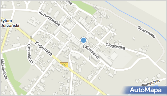 9251837757, Podhajecka Barbara Kwiaty 