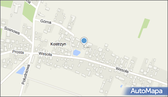 Gospodarstwo Rolne Bednarski Bogdan, Kostrzyn 26, Kostrzyn 26-811 - Przedsiębiorstwo, Firma, NIP: 7981000835