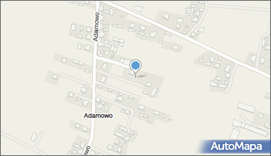 9231069195, Uprawa Warzyw Benedykt Cukier, Adamowo 