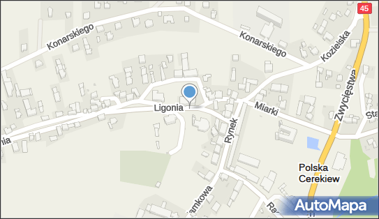 Gospodarstwo Rolne Dapa Ilona, ul. Rynek 10A, Polska Cerekiew 47-260 - Przedsiębiorstwo, Firma, NIP: 7491450850