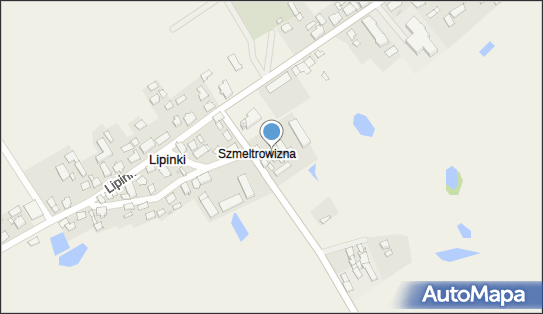 Gospodarstwo Rolne Grünberg Piotr, Lipinki 57, Lipinki 13-334 - Przedsiębiorstwo, Firma, NIP: 8771132241