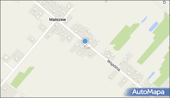 Gospodarstwo Rolne Ireneusz Rudnicki, ul. Wspólna 42, Maliszew 05-300 - Przedsiębiorstwo, Firma, NIP: 8221453419