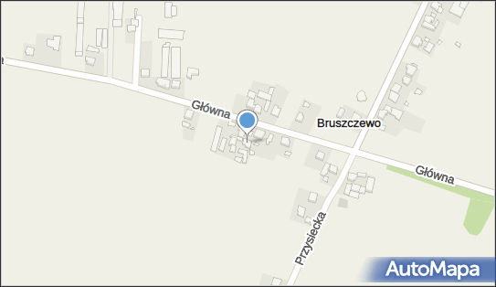 Gospodarstwo Rolne Józef Górczak Bruszczewo, Główna 6 64-030 - Przedsiębiorstwo, Firma, NIP: 6981308515