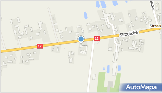 Gospodarstwo Rolne Kazimierz Lis, Strzałków 87, Strzałków 26-625 - Przedsiębiorstwo, Firma, numer telefonu, NIP: 9481131423