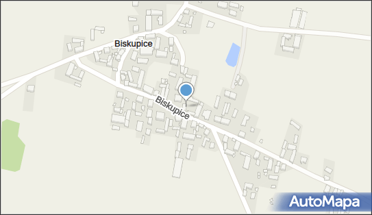 Gospodarstwo Rolne Kazimierz Walkowiak Biskupice, Biskupice 32 64-234 - Przedsiębiorstwo, Firma, NIP: 6981537167