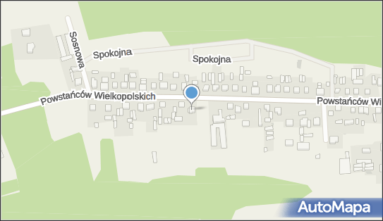 Gospodarstwo Rolne Maciej Kaźmierczak, Nowa Wieś 64-234 - Przedsiębiorstwo, Firma, NIP: 6981406620
