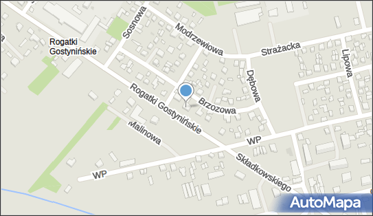 Gospodarstwo Rolne Marcin Kowalski, Rogatki Gostynińskie 10, Gąbin 09-530 - Przedsiębiorstwo, Firma, NIP: 7742645084