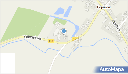 7471336200, Skup i Sprzedaż Skór Michalski Krzysztof 