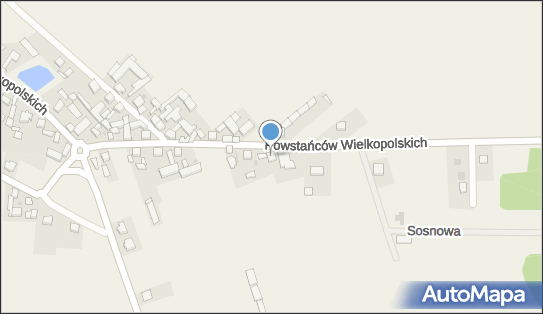 Gospodarstwo Rolne Paweł Rękoś, Powstańców Wielkopolskich 1 64-140 - Przedsiębiorstwo, Firma, NIP: 6971689941