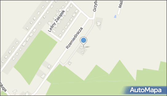 Gospodarstwo Rolne Podlaszewski Adam, Sąsieczno 5, Sąsieczno 87-125 - Przedsiębiorstwo, Firma, numer telefonu, NIP: 8792022670