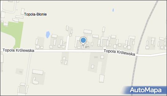 Gospodarstwo Rolne Przemysław Świerczyński, Topola Królewska 9 99-100 - Przedsiębiorstwo, Firma, NIP: 7752384946