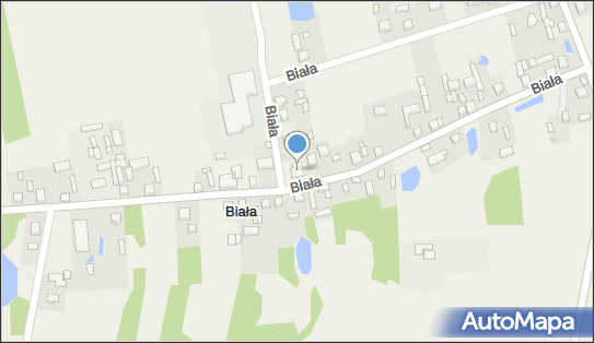 Gospodarstwo Rolne Robert Pająk, Biała 49, Biała 98-332 - Przedsiębiorstwo, Firma, NIP: 7691155647
