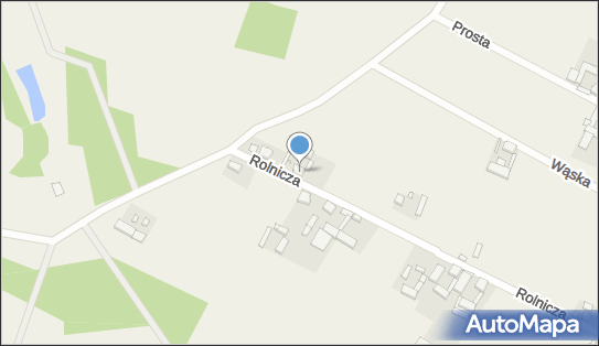 6981443868, Uprawa Warzyw Roman Mniszewski 
