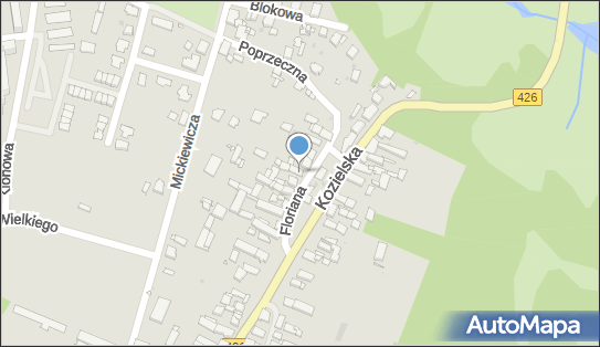 Gospodarstwo Rolne Tomasz Kałuża, Floriana 6, Strzelce Opolskie 47-100 - Przedsiębiorstwo, Firma, NIP: 7561697083