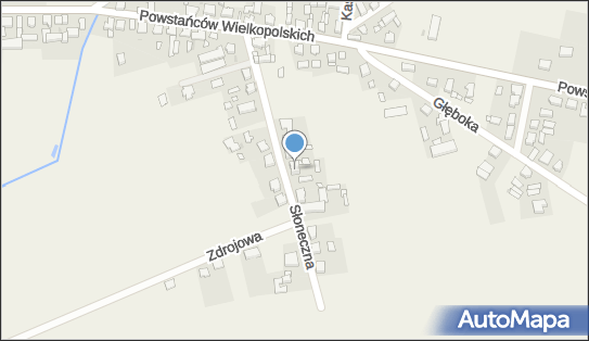 6981272177, Uprawa Grzybów Wiesław Kostaniak 