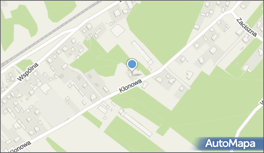 8211493481, Kot Zbigniew 